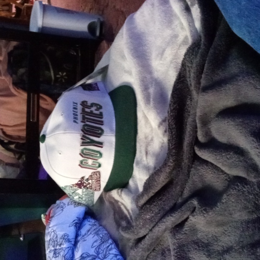 90s retro rare Phoenix Coyotes hat